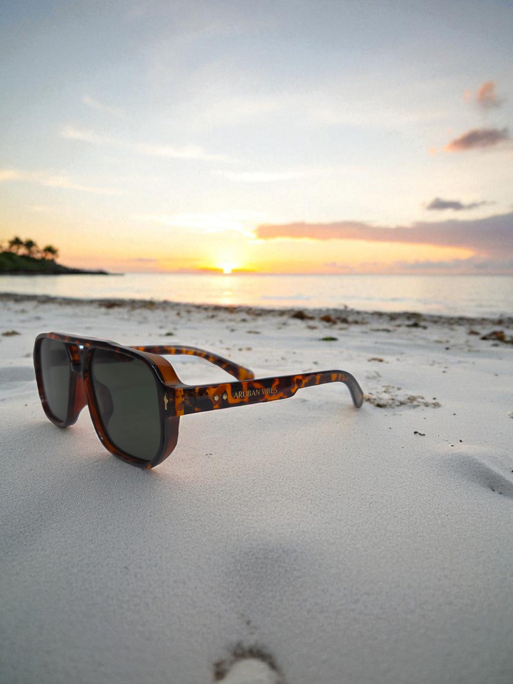 Arashi Beach Aviator – Tortoise Frame, Dark Lens