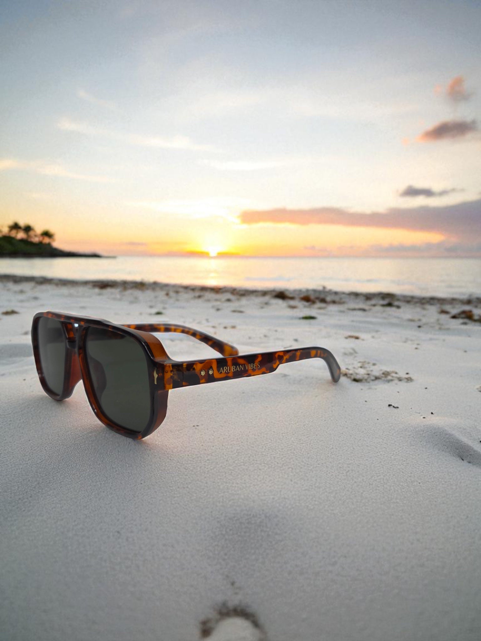 Arashi Beach Aviator – Tortoise Frame, Dark Lens