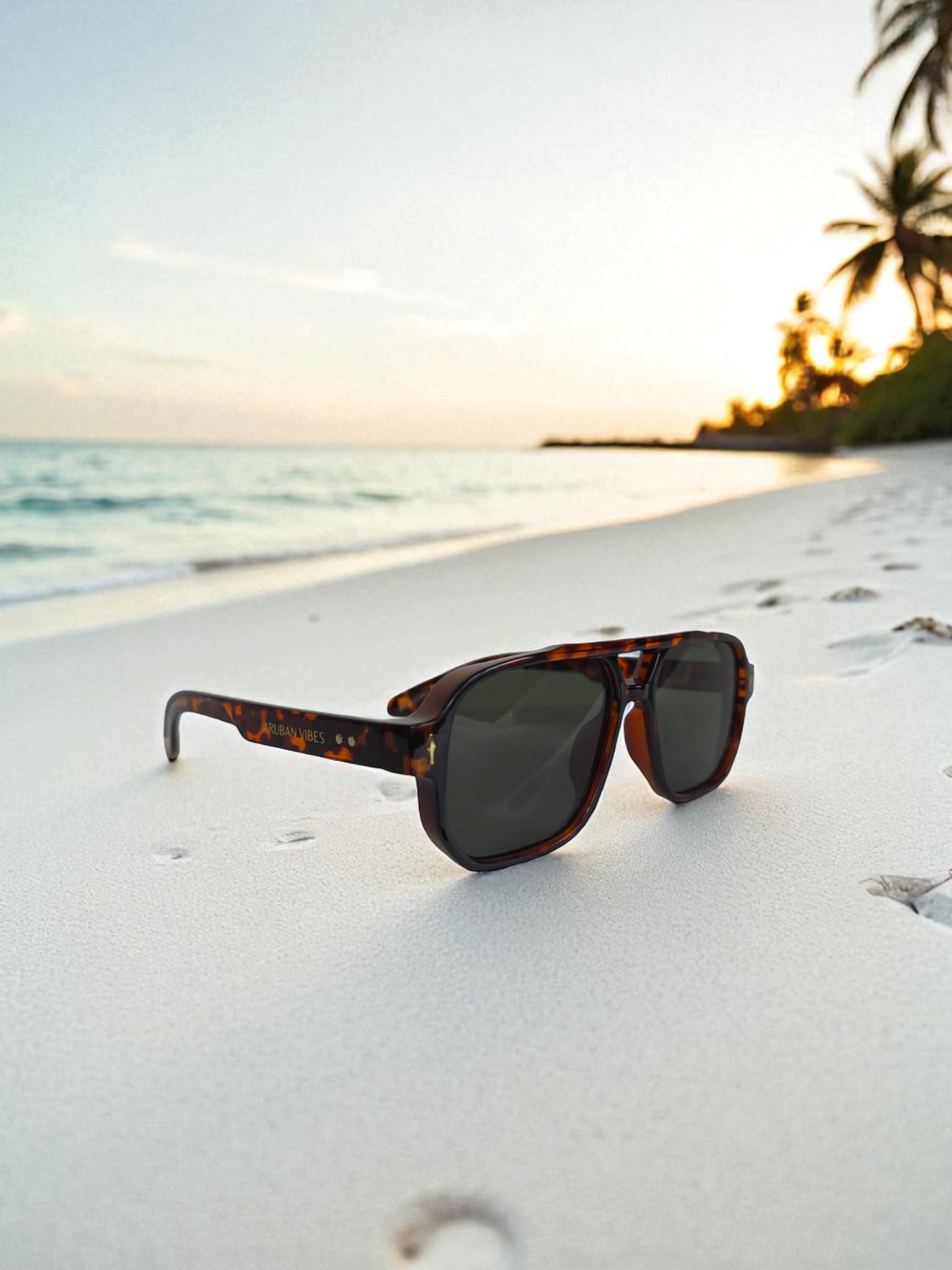 Arashi Beach Aviator – Tortoise Frame, Dark Lens