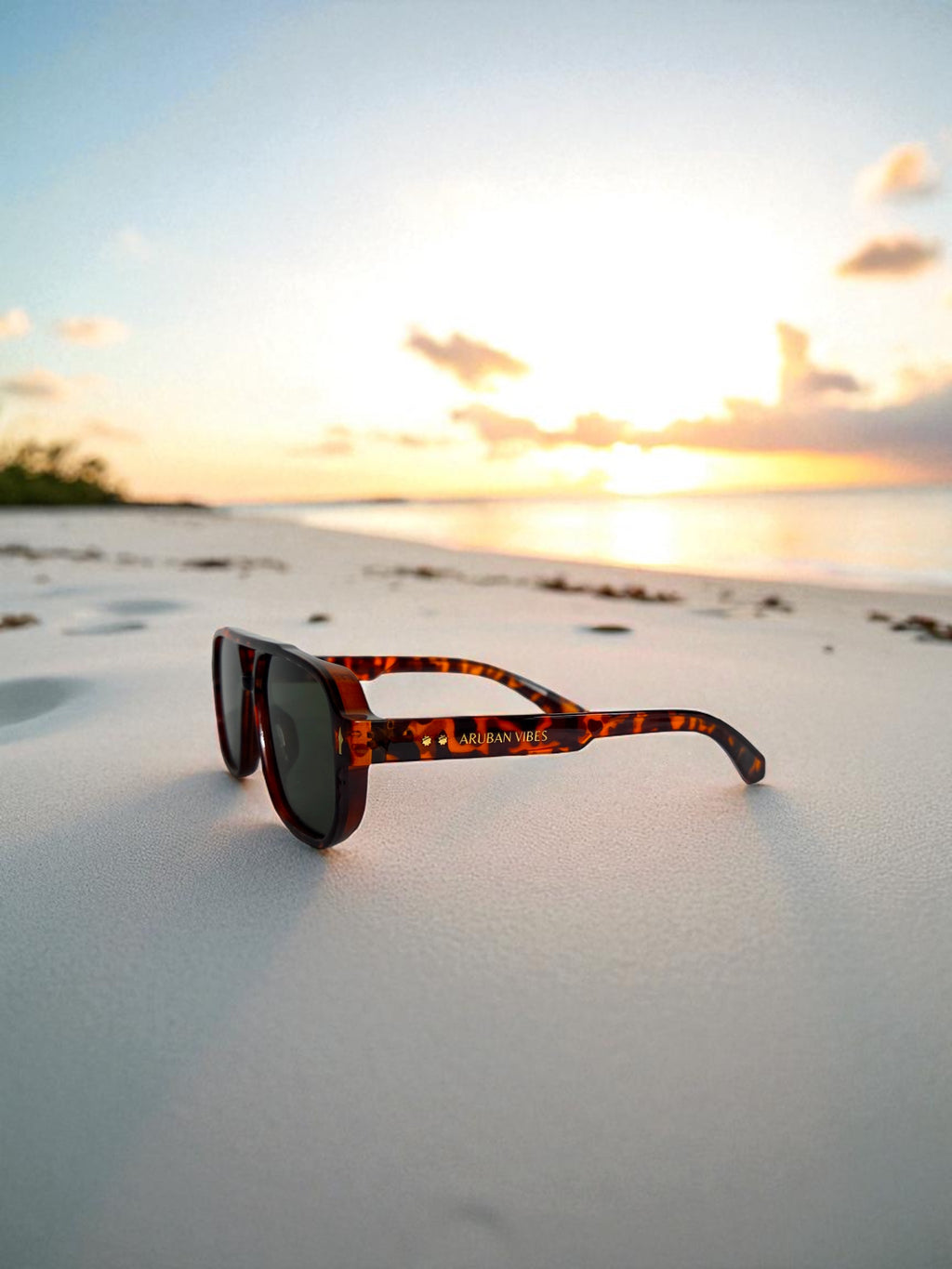 Arashi Beach Aviator – Tortoise Frame, Dark Lens